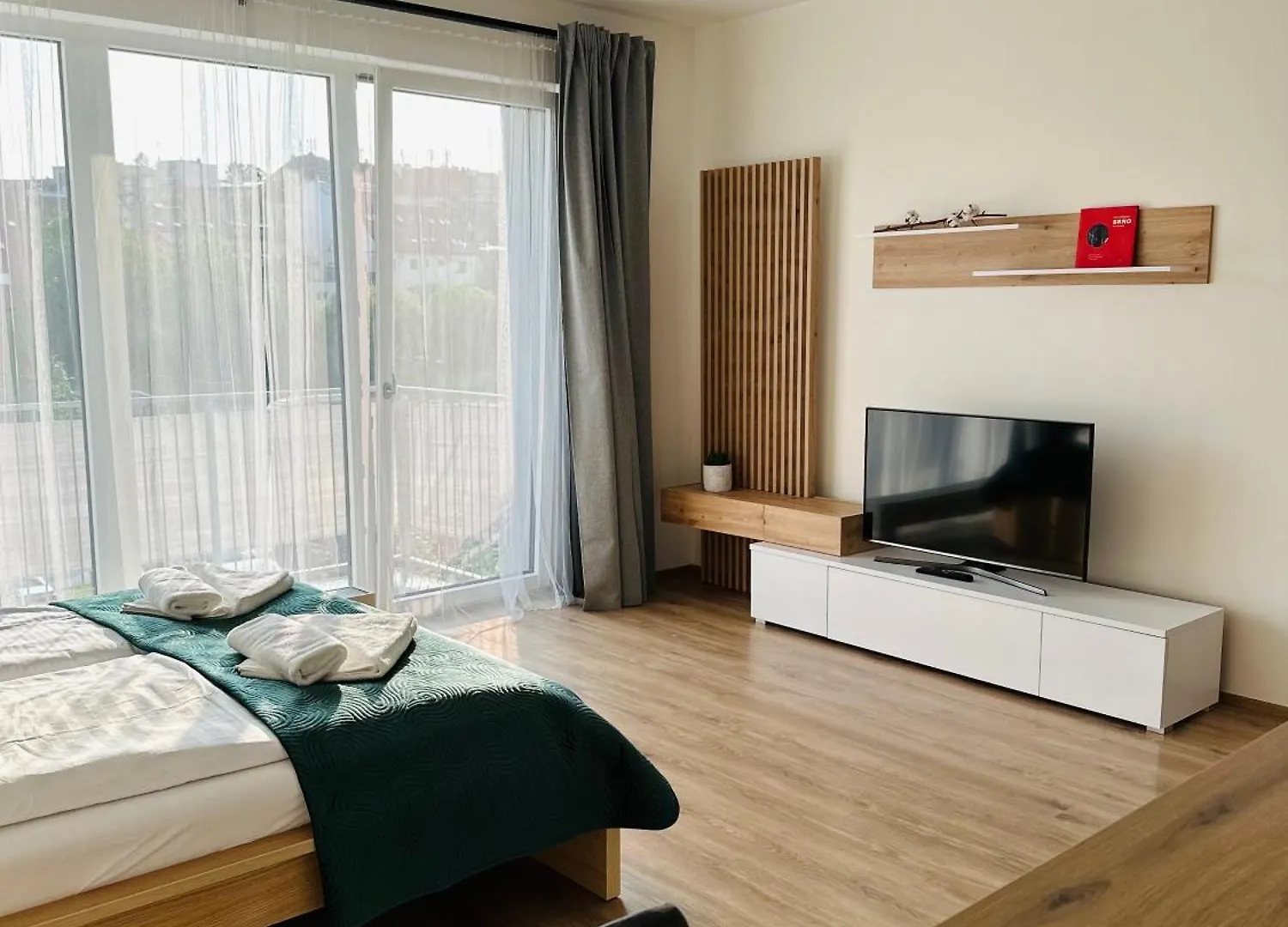 Sunny Apartment ブルノ